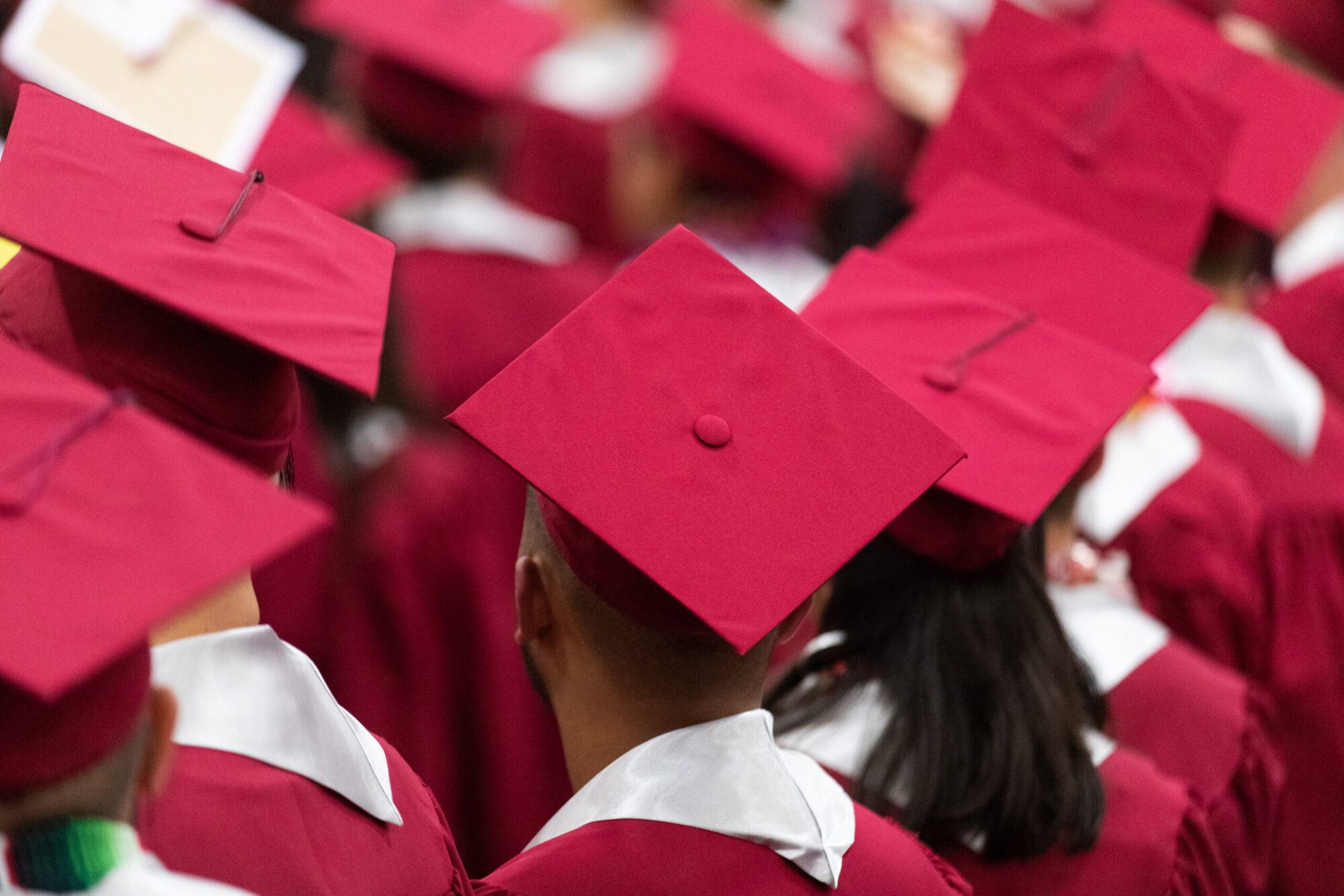 Rows of high school graduates in caps and gowns, viewed from behind. (Photo by Mat Hayward, Adobe Stock)
